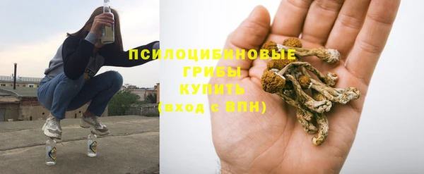 гидра Нефтекумск