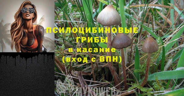 прущая мука Нея