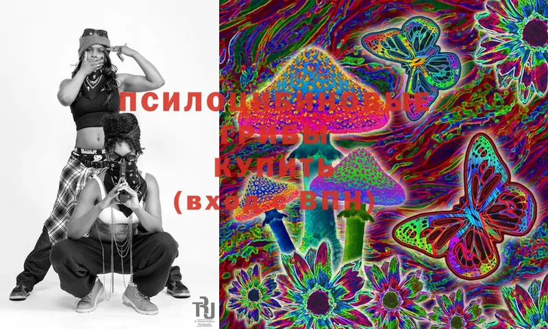 Псилоцибиновые грибы Psilocybe  Емва 