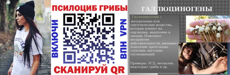 купить наркоту  Емва  Галлюциногенные грибы Psilocybine cubensis 