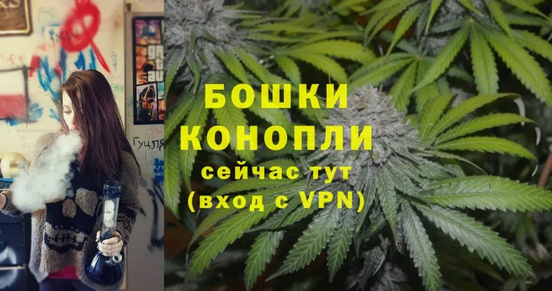 купить наркоту  Емва  Конопля SATIVA & INDICA 